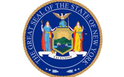 SSL Founder Testifies Before New York State Senate Task Force
