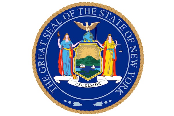 SSL Founder Testifies Before New York State Senate Task Force